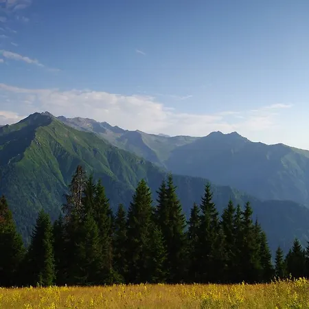 Pokut Doga Konuk Evi Guest house Rize