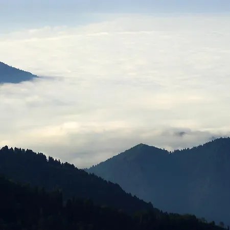 Pokut Doga Konuk Evi *