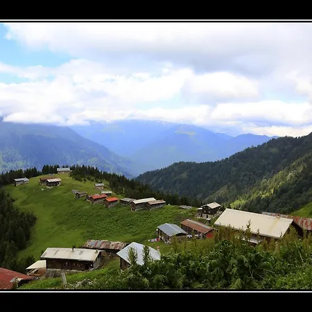 Pokut Doga Konuk Evi