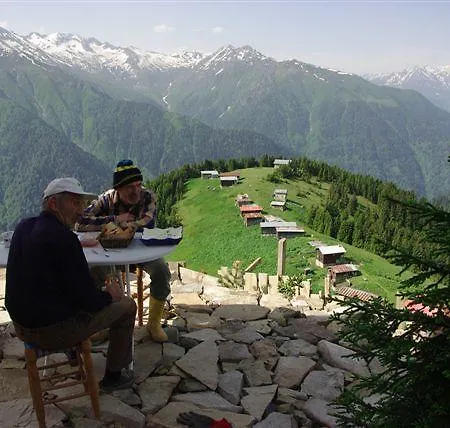 Pokut Doga Konuk Evi Guest house Rize